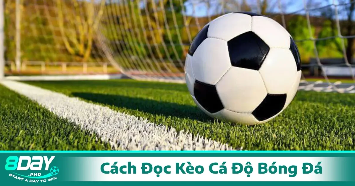 hiểu rõ cách đọc kèo cá độ bóng đá là chìa khóa để có thể đưa ra các quyết định đúng đắn.
