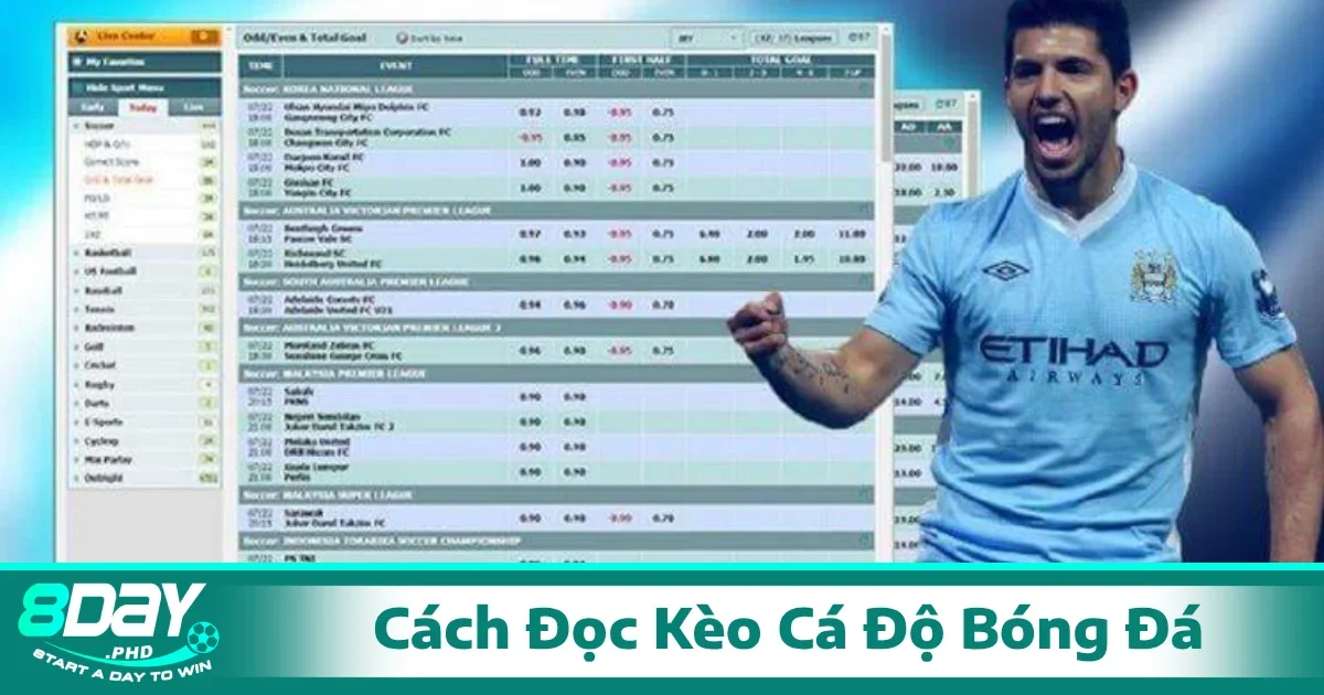 Cách đọc kèo cá độ bóng đá và nhận biết cách loại kèo