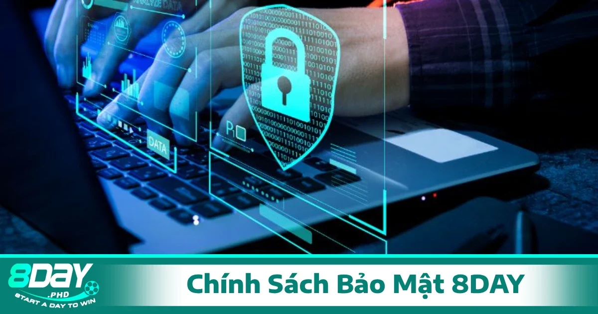 8Day còn thu thập các dữ liệu liên quan đến hoạt động người dùng trên nền tảng.