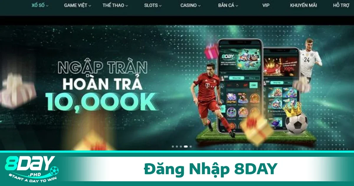 Đăng nhập 8Day trên di động trải nghiệm mượt mà